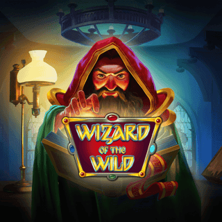 Wizard of the Wild game screenshot