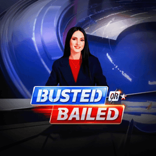 Busted or Bailed game screenshot